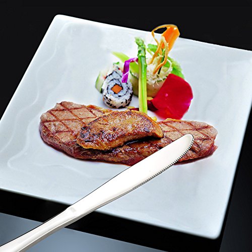 Hommp 16Piece Stainless Steel Dinner Knives Set The Home Kitchen Store