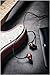 Fender FXA6 Professional In-Ear Headphone Monitors for live performance, studio, or high-definition casual listening - Red