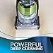 Bissell DeepClean Premier Pet Full Sized Carpet Cleaner, 17N4