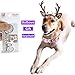 Bolbove Pet Christmas Lace Flower Antler Head Band and Santa Collar for Medium to Large Dogs (Large)