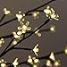 Goplus Cherry Blossom Tree Light LED Floor Lamp For Christmas Holiday Festival Deoration Warm White (6FT 160LED)