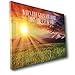 BANBERRY DESIGNS Lighted Inspirational Canvas Print with the Message When Life Gives You More Than You Can Stand...Kneel - LED Wall Art - 16