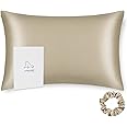 Queen Size Silk Pillowcase ALASKA BEAR Random Color Silk Scrunchie Gift Set for Beauty Sleep Queen 20 inch x30 inch (1 Pack, Beige)