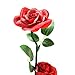 Autoday USB Beauty and The Beast Preserved Fresh Rose Flower Light Fallen Petals in a Glass Romantic Wooden Base Valentine's Day Birthday Anniversary (5.75.79