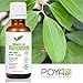 Cinnamon Leaf Essential Oil 30 ml (1 fl. Oz.) - GCMS Tested, 100% Pure, Undiluted and Therapeutic Grade
