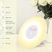 Wake Up Light, Alarm Clock Sunrise Simulation & Sleep Aid Feature, Bedside Night Light with FM Radio, 6 Nature Sounds, Touch Control and Snooze for Kids Adults Bedrooms(6638-Sunrise Alarm Clock)