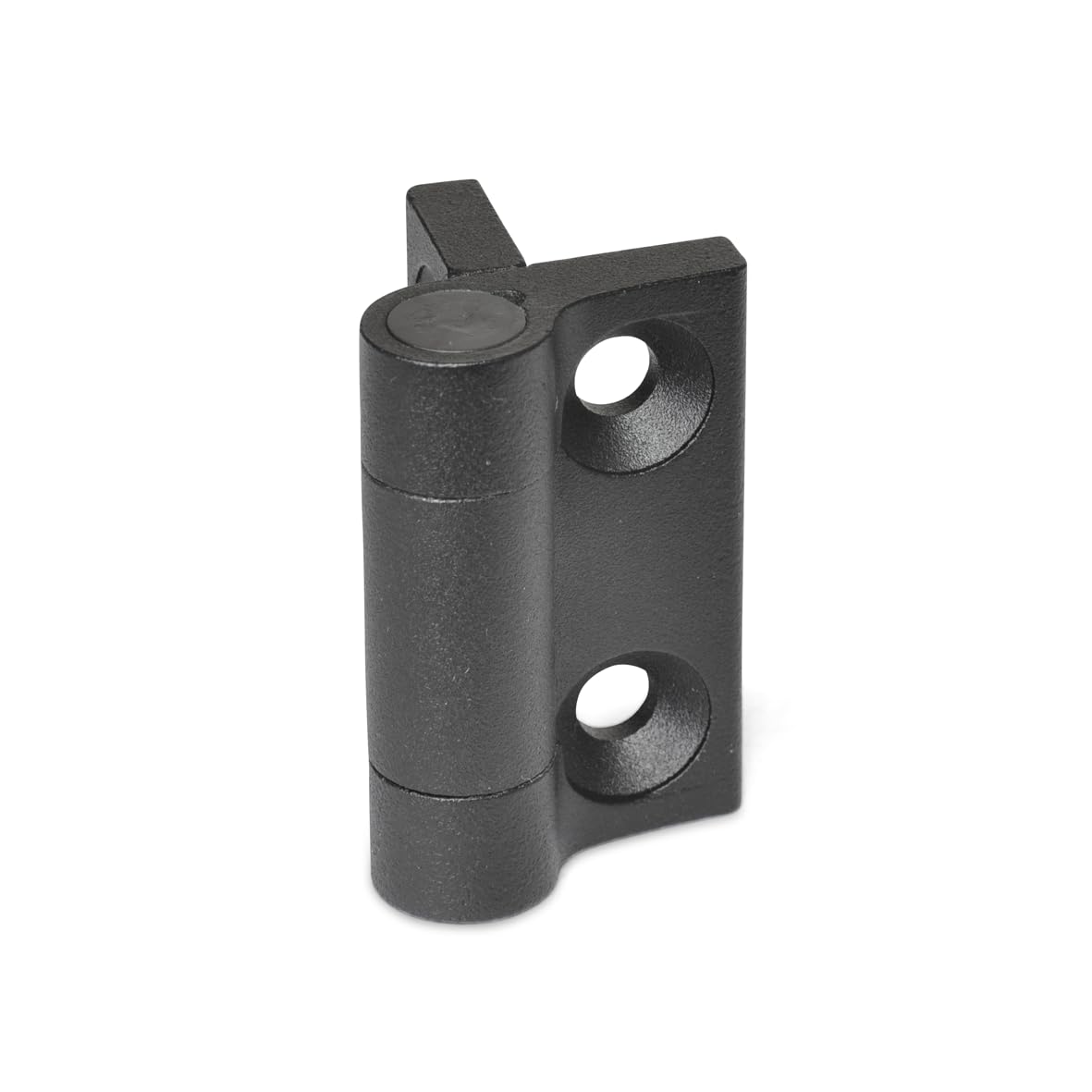 Ganter Normelemente GN 437.3-ZD-60-60-L2-SW, Spring Return Hinge, Black, schließend