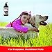 Wild Alaskan Salmon Oil for Dogs 16oz – Soft Shiny Coats, Dry Skin, Itching, Shedding & Allergies - Pure Natural Omega 3 Fish Oil for Dogs Liquid Pump - Multiple Benefits - Fish Oil Dogs Cats & Pets