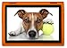 BobjGear Rugged Case for Lenovo Tab 4 10 inch Models TB-X304F TB-X304L TB-X304X (NOT for E10 or Any Other Model) Outrageous Orange