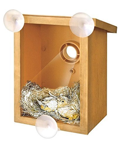 WINDOW BIRDHOUSE - INTERHOME©