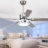 RainierLight Modern Ceiling Fan 5 Stainless Steel Blades Remote Control LED 3 LED Changing Light (White/ Warm/ Yellow) for Indoor Mute Energy Saving Electric Fan (48inch)