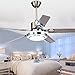 RainierLight Modern Ceiling Fan 5 Stainless Steel Blades Remote Control LED 3 LED Changing Light (White/ Warm/ Yellow) for Indoor Mute Energy Saving Electric Fan (48inch)