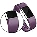 RRedTaro Replacement Bands Compatible with Fitbit Charge 2, Classic & Special Edition Adjustable Sport Wristbands for Fitbit Charge 2 Women Men Large Small Purple Plum