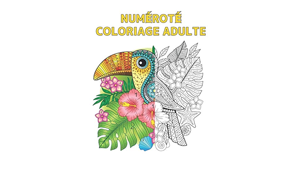 Numerote Coloriage Adulte Livre Coloriage Avec 60 Dessins De Couleurs Par Numero D Animaux D Oiseaux De Fleurs Et De Motifs Coloriage Numerote De Coloriage Pour Adulte French Edition World Qta 9798724451925