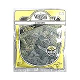 Woodland Scenics Lichen, Dark Green Mix 3Qt WOOL168