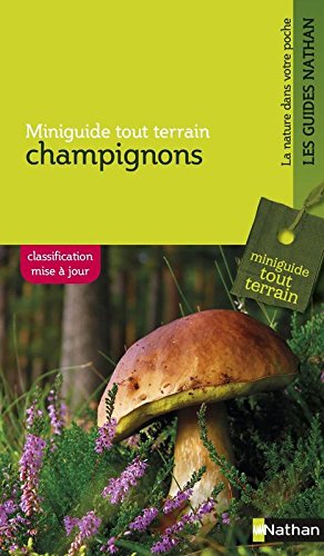 Champignons