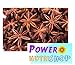 (8 OZ) 100% ALL Natural Sun Dried Star Anise,Star Aniseed