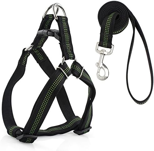 Padded Reflective Dog Harness and Leash Set, Adjustable Step-in and No-Choke Nylon Dog Vest Safety Leash, Black