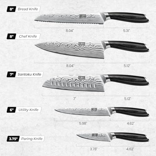 HOSHANHO 5 Piece Kitchen Knife Set, Professional Chef Knife Set Powder Steel, Ultra Sharp Japanese Kitchen Knife with Ergonomic Handle by Pakkawood