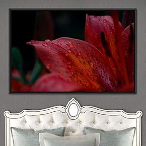 signwin Framed Canvas Wall Art Blooming Closeup Botanical...