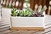 StarPack Premium Small White Ceramic Succulent Planter Pot with Bamboo Base
