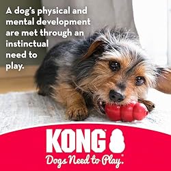 KONG Goodie Bone - Classic Durable Natural Rubber