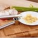 Oye Stainless Steel Garlic Press