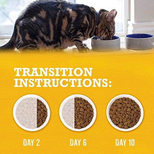 PURINA BEYOND NATURAL DRY CAT FOOD WHOLESOME INGREDIENTS FOR WHOLE HEALTH WHITE MEAT CHICKEN AND WHOLE OAT MEAL RECIPE – 3 LB. BAG