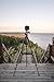 Vanguard Alta Pro 2+ 263AP Aluminum Tripod with Alta PH-32 Pan Head and Multi-Angle Center Column