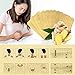 60PCS Herbal Ginger Patch is one of The Best Natural Solution for Lymphatic Drainage, Body Pain, migraine, Joint Pain and Stomach Bloating