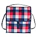 PackIt Freezable Picnic Bag with Zip Closure, Buffalo Check