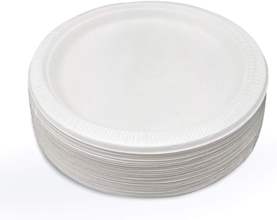 Rigid Large Disposable Paper Plates for Parties 10inch [30pcs]Bagasse