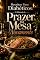 Livro Receitas Para Diabéticos: O Manual do Prazer na Mesa Novamente