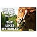 FUNNY ANIMALS postcard set of 20 postcards. Funny animal quotes post card variety pack. Made in USA.
