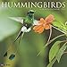 Hummingbirds 2020 Wall Calendar by 