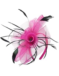Fascinator Hats Flower Mesh Feathers Wedding Kentucky Derby Headband Clip Tea Party Cocktail Headwear for Girls and Women (Fuschia)