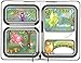 PlanetBox LAUNCH Eco-Friendly Stainless Steel Bento Lunch Box with 3 Compartments for Adults and Kids - Pink Carry Bag with Woodland Fairies Magnets