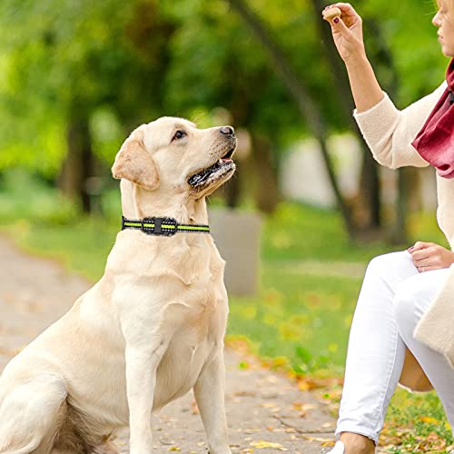 funnipets dog training collar