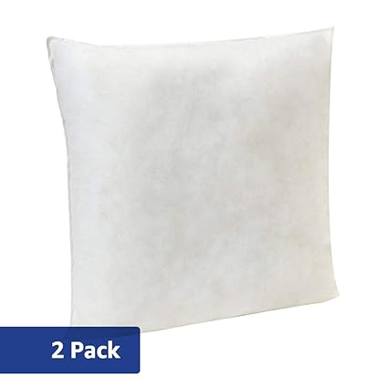 Amazon Com Amazonbasics Pillow Insert 22 Inch Square 2 Pack