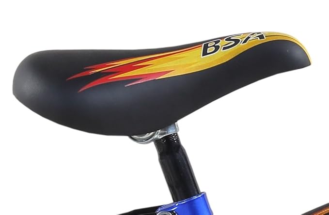 bsa rocket 20 inches