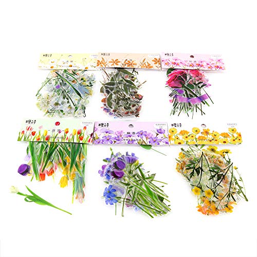 Molshine 240pcs PET Transparent Decorative Stickers -Flowers Plant Series Decals for DIY,Personalize,Bullet Diary Decoration,Laptops,Scrapbook,Luggage,Cars,Books -6 Packs of Different Styles