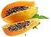 100% Organic Papaya Seed Dried 1.76 Oz (50 grams)