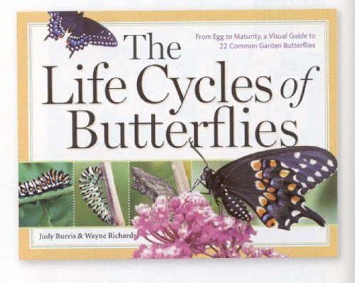 The Life Cycles of Butterflies: From Egg to Maturity, a Visual Guide to 22 Common Garden Butterflies by Judy Burris (2006-03-30)