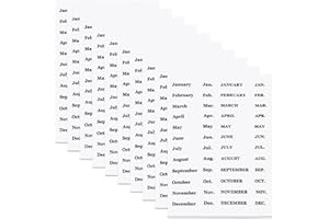 AXEWOODZ Months Planner Stickers, 10 Sheets 480pcs Monthly Tab Stickers, Clear Black Font Removable Waterproof Vinyl Monthly Cash Envelope Sticker Labels for Monthly Finance Planner (Black)