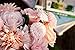 Meiliy 1 Bunch 8 Pcs Artificial Rose Dahlia Daisy Flower Bouquet Bride Bridesmaid Holding Flowers for Home Hotel Office Wedding Party Garden Craft Art Decor, Pink&Champagne