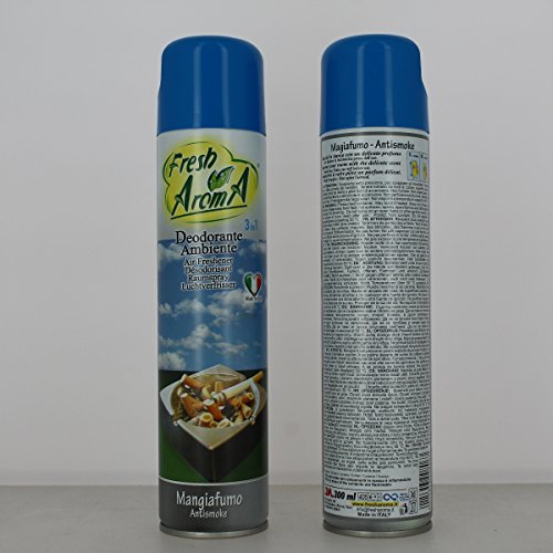 antismoke Déodorant environnement 300 ml Spray