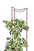 Gardeners Supply Company Red Tomato Ladders | Heavy Gauge Sturdy Garden Plants Support for Tomatoes and Other Climbing Plants | No Assembly Needed | Set of 3