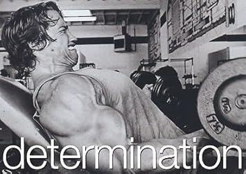 Posters Cyclisme Determination Sport Motivation Boxe Citation Poster Photo Panneau A3 Poster Arnold Schwarzenegger Gym Determination Cuisine Maison Artego Ge