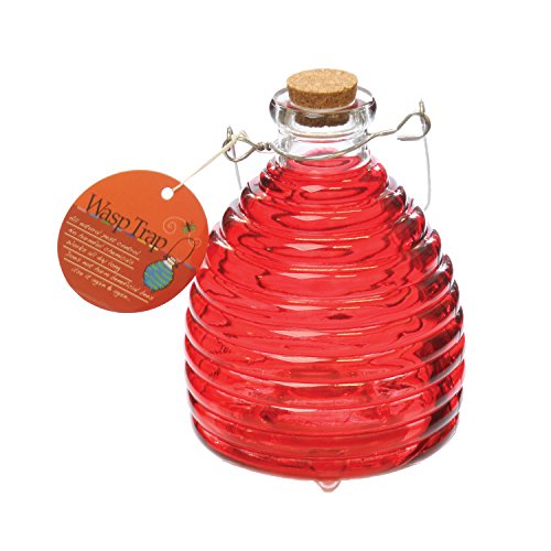 Toland Home Garden Large Tomato Red Pesticide-Free 5.5-Inch Diameter Glass Wasp and Fruit Fly Trap 10245 Toland Home Garden Large Tomato Red Pesticide-Free 5.5-Inch Diameter Glass Wasp and Fruit Fly Trap 10245