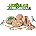 SRDX Dig it up Dinosaur Eggs 12 Dino Eggs Kids Toys Science Kits & Toys STEM Gift Party Favors for Kids Gifts Mystery Excavation Adventure Discovery Surprise Toys Surprise Eggs Supplies dinausors Egg